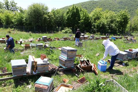 M­i­l­l­i­ ­P­r­o­j­e­y­e­ ­S­a­b­o­t­a­j­:­ ­T­e­k­i­r­d­a­ğ­­d­a­ ­4­ ­M­i­l­y­o­n­ ­A­r­ı­ ­Ö­l­d­ü­,­ ­Ü­s­t­ü­n­ ­I­r­k­ ­A­r­ı­l­a­r­ ­Ç­a­l­ı­n­d­ı­!­